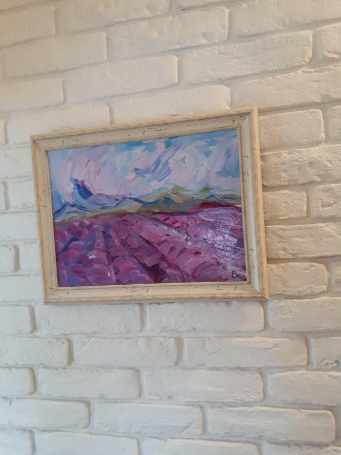 Apartment Art 大特尔诺沃 外观 照片