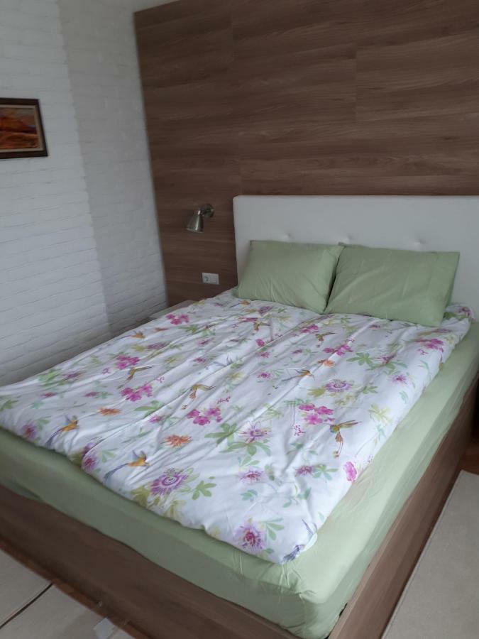 Apartment Art 大特尔诺沃 外观 照片