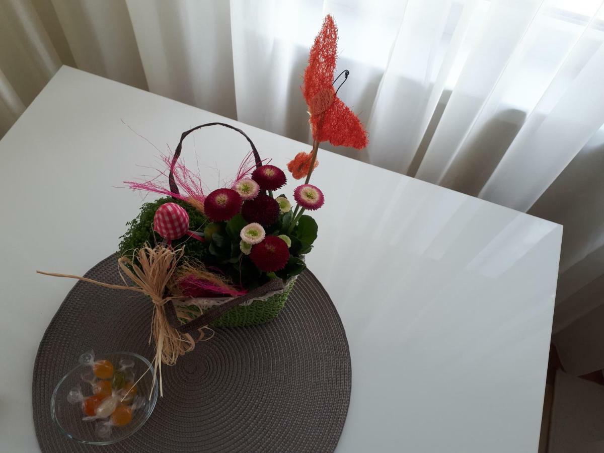 Apartment Art 大特尔诺沃 外观 照片