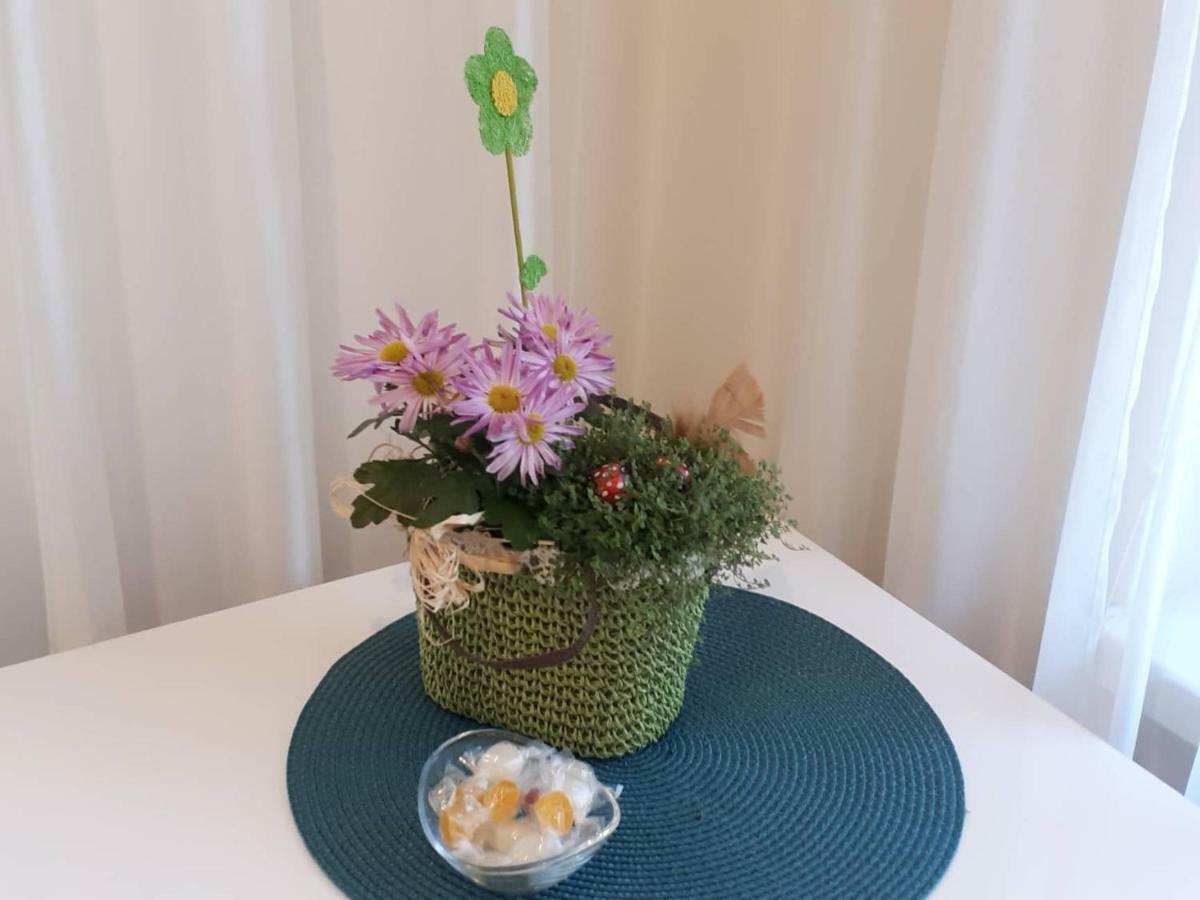 Apartment Art 大特尔诺沃 外观 照片